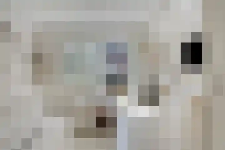 Willem Passtoorsstraat 34 Schiedam thumbnail 12