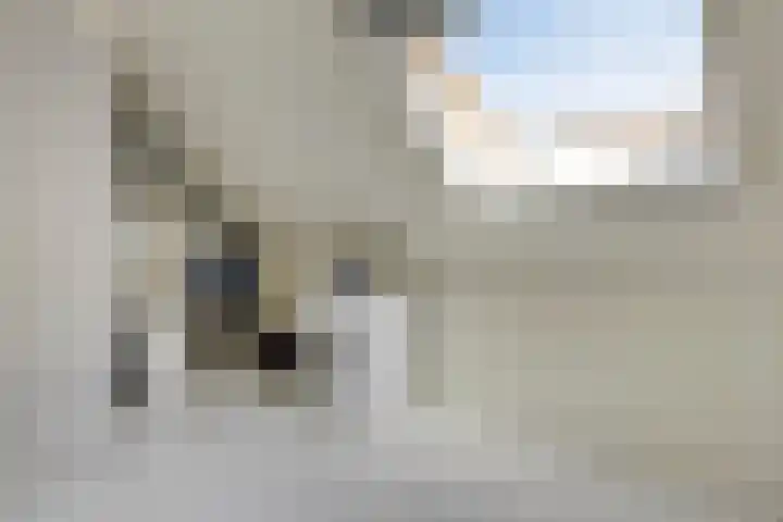 Willem Passtoorsstraat 34 Schiedam thumbnail 35