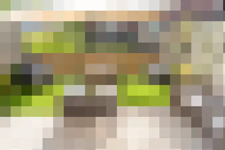 Willem Passtoorsstraat 34 Schiedam thumbnail 39