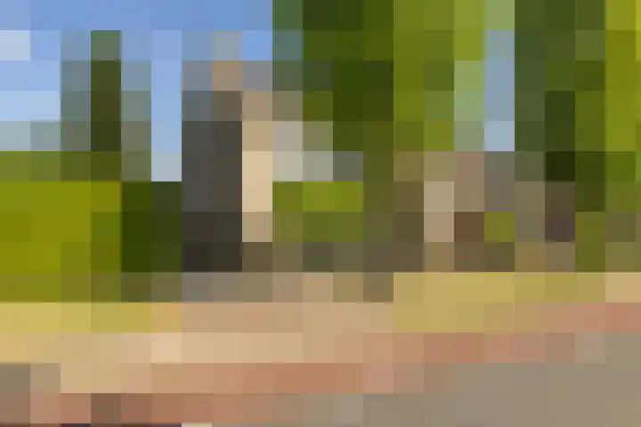 Willem Passtoorsstraat 78 a Zundert thumbnail 8