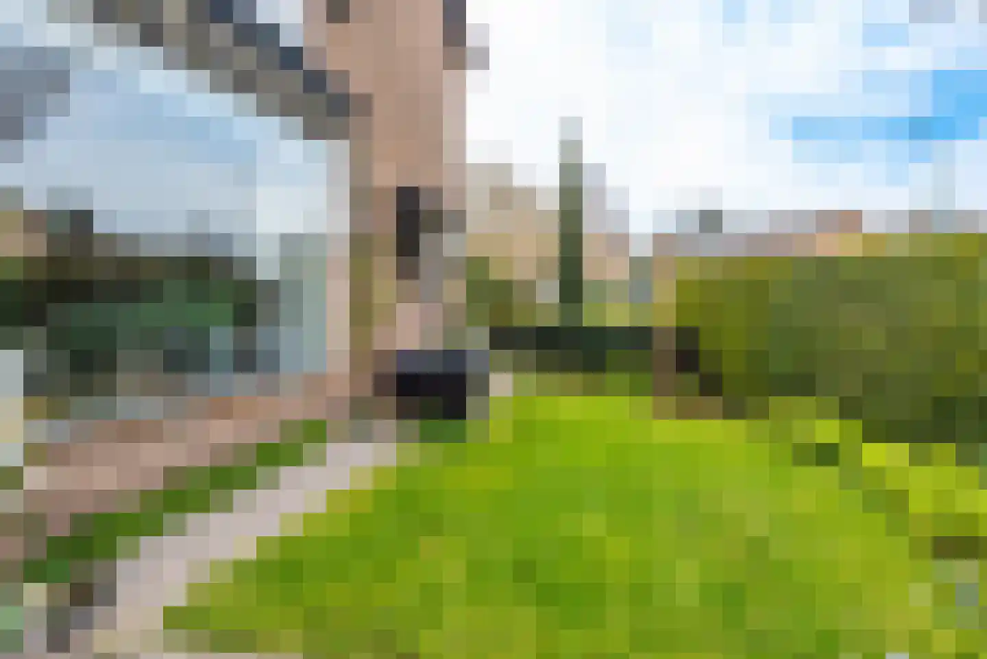 Willem Pijperlaan 24 Baarn thumbnail 24