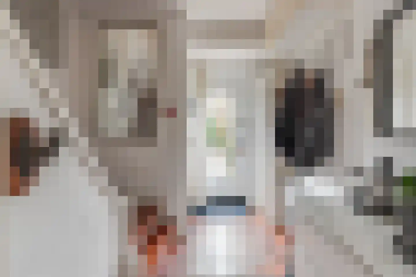 Willem Pijperlaan 24 Baarn thumbnail 28