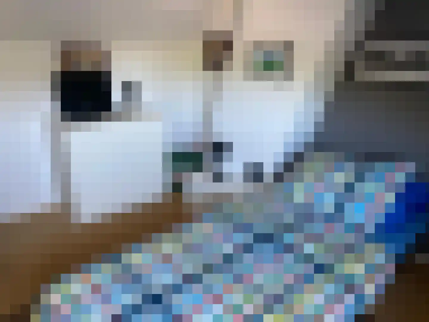 Willem Pijperlaan 24 Baarn thumbnail 39