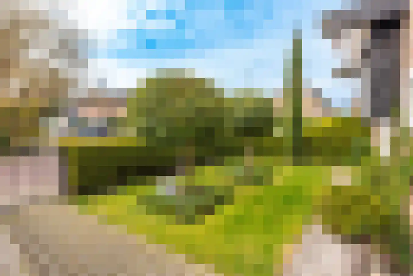 Willem Pijperlaan 24 Baarn thumbnail 41