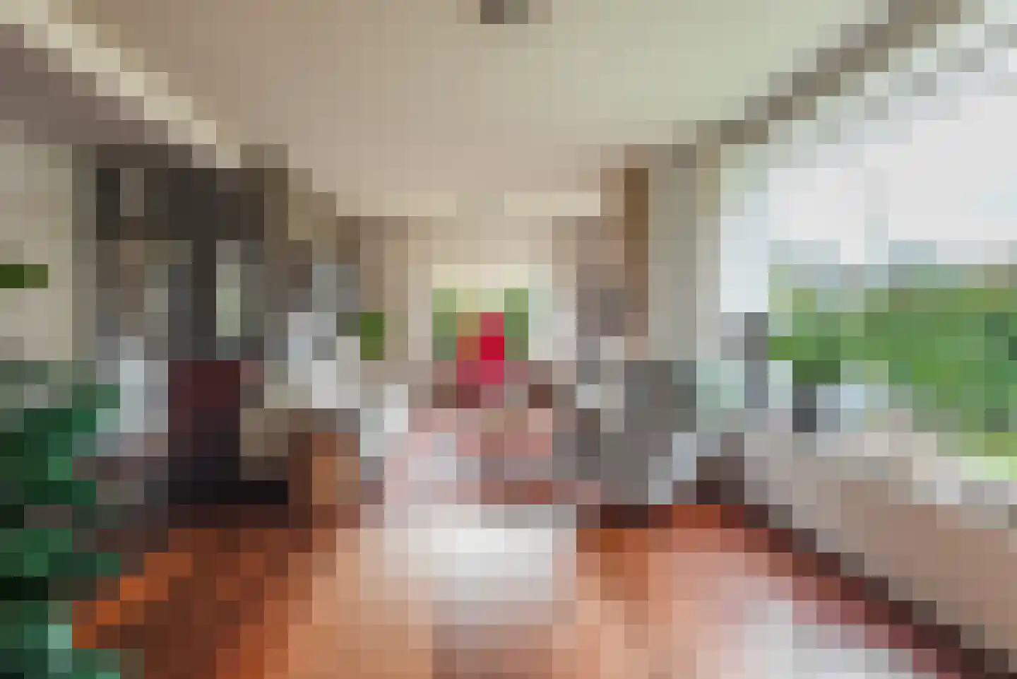 Willem Pijperlaan 24 Baarn thumbnail 8
