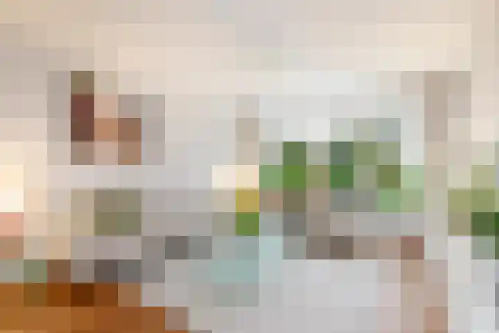 Willem Pijperlaan 26 Rotterdam thumbnail 10