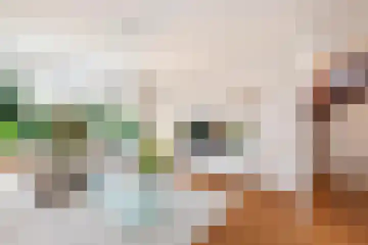 Willem Pijperlaan 26 Rotterdam thumbnail 11
