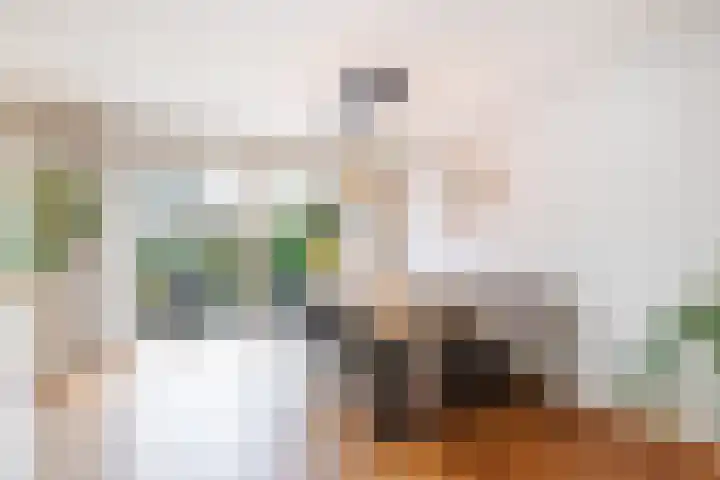 Willem Pijperlaan 26 Rotterdam thumbnail 13