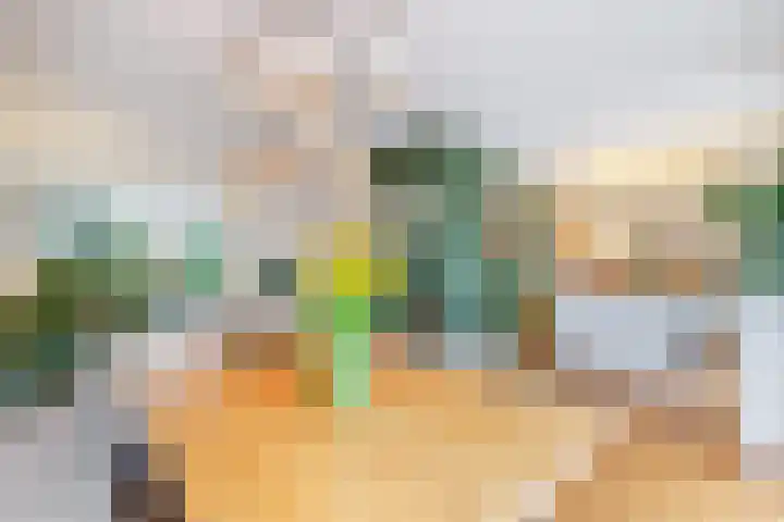Willem Pijperlaan 26 Rotterdam thumbnail 15