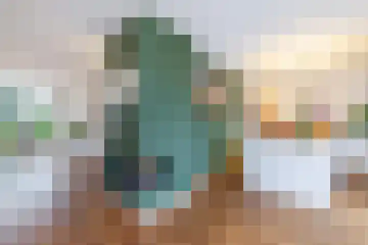 Willem Pijperlaan 26 Rotterdam thumbnail 16