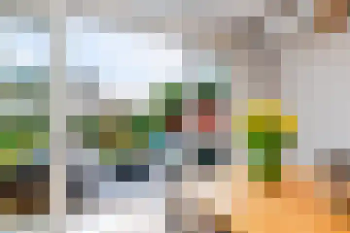 Willem Pijperlaan 26 Rotterdam thumbnail 21