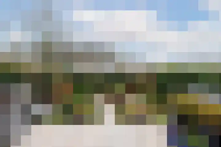 Willem Pijperlaan 26 Rotterdam thumbnail 22