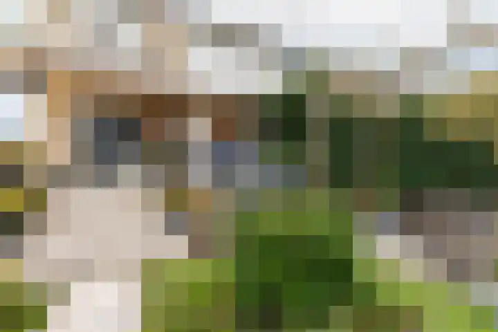 Willem Pijperlaan 26 Rotterdam thumbnail 23