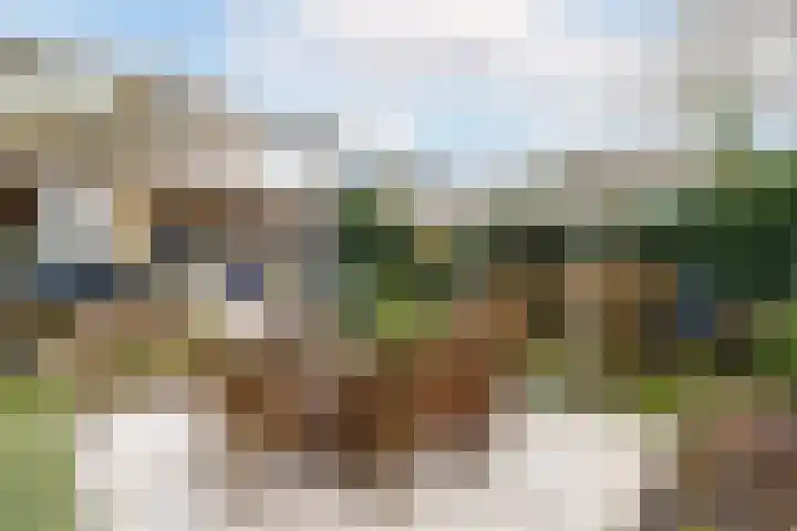Willem Pijperlaan 26 Rotterdam thumbnail 24