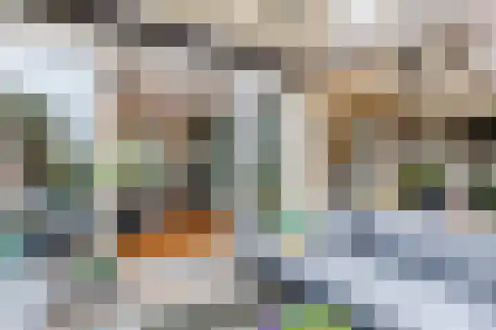 Willem Pijperlaan 26 Rotterdam thumbnail 26