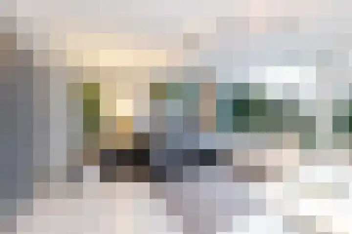 Willem Pijperlaan 26 Rotterdam thumbnail 36