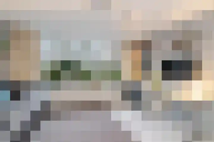 Willem Pijperlaan 26 Rotterdam thumbnail 37