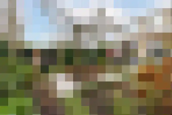 Willem Pijperlaan 26 Rotterdam thumbnail 4