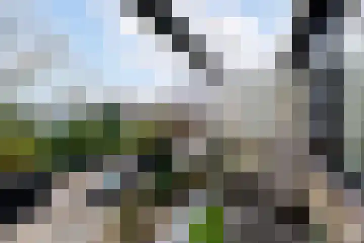 Willem Pijperlaan 26 Rotterdam thumbnail 41