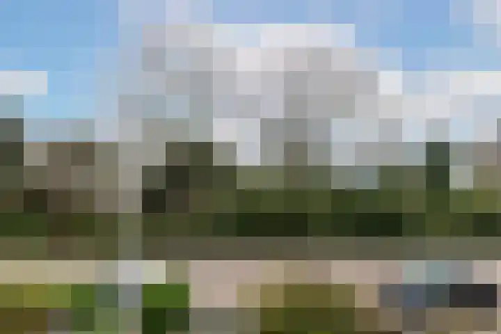 Willem Pijperlaan 26 Rotterdam thumbnail 42