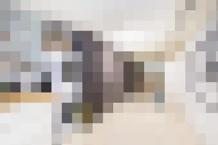 Willem Pijperlaan 26 Rotterdam thumbnail 51