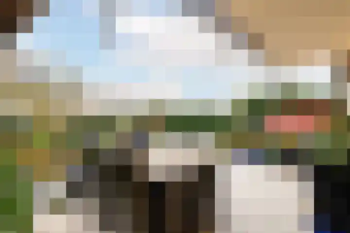 Willem Pijperlaan 26 Rotterdam thumbnail 53