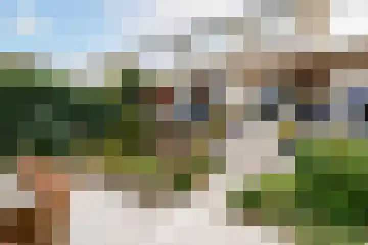 Willem Pijperlaan 26 Rotterdam thumbnail 55