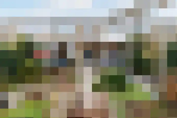 Willem Pijperlaan 26 Rotterdam thumbnail 58
