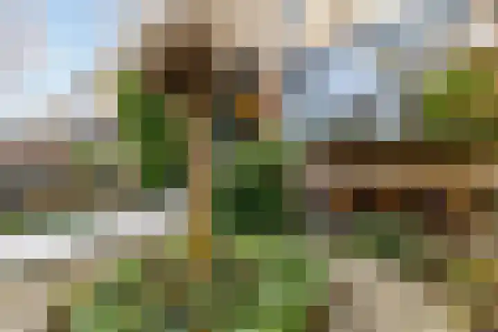 Willem Pijperlaan 26 Rotterdam thumbnail 59