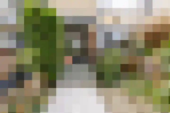 Willem Pijperlaan 26 Rotterdam thumbnail 6