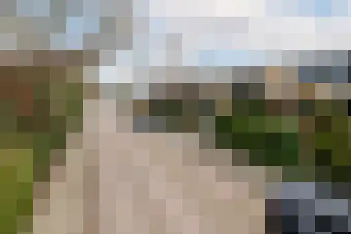 Willem Pijperlaan 26 Rotterdam thumbnail 62