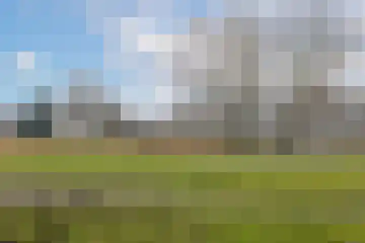 Willem Pijperlaan 26 Rotterdam thumbnail 64
