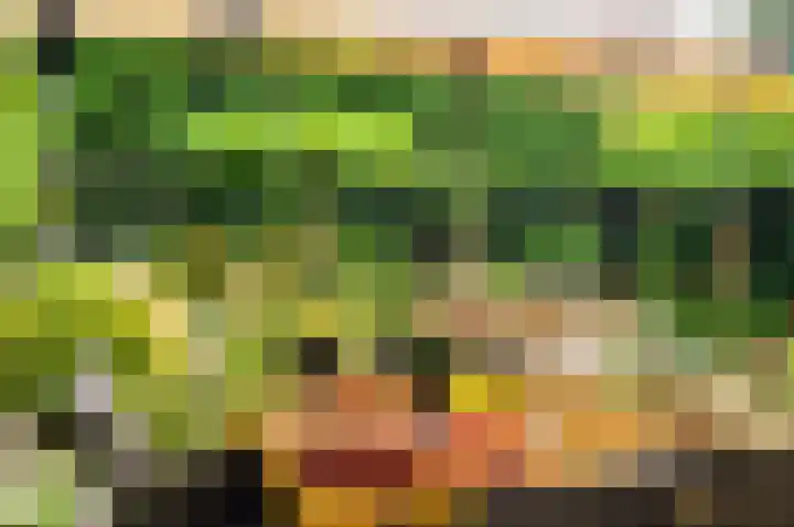 Willem Pijperlaan 26 Rotterdam thumbnail 67