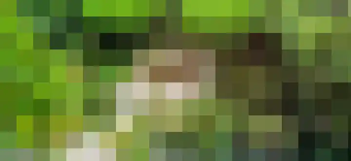 Willem Pijperlaan 26 Rotterdam thumbnail 69