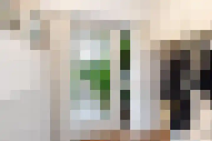 Willem Pijperlaan 26 Rotterdam thumbnail 7