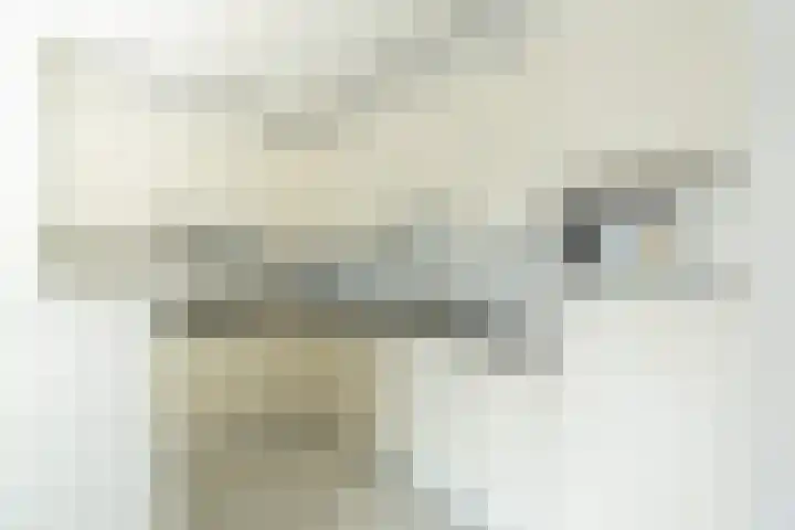 Willem Pijperlaan 33 Hoofddorp thumbnail 12