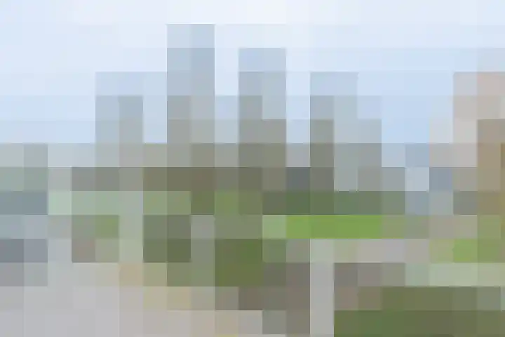 Willem Pijperlaan 33 Hoofddorp thumbnail 18