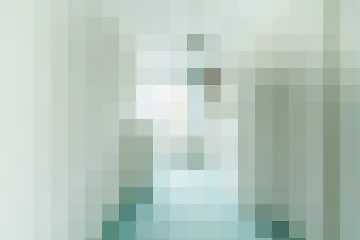 Willem Pijperlaan 33 Hoofddorp thumbnail 22