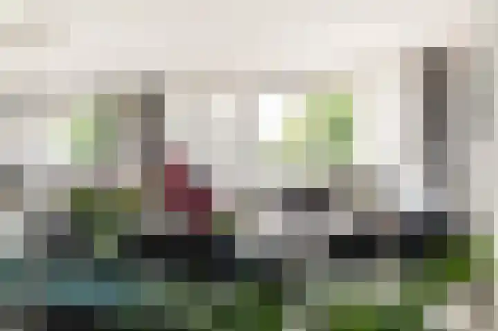 Willem Pijperlaan 39 Hoofddorp thumbnail 11