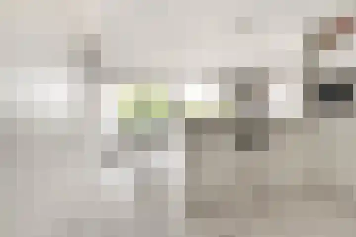 Willem Pijperlaan 39 Hoofddorp thumbnail 18