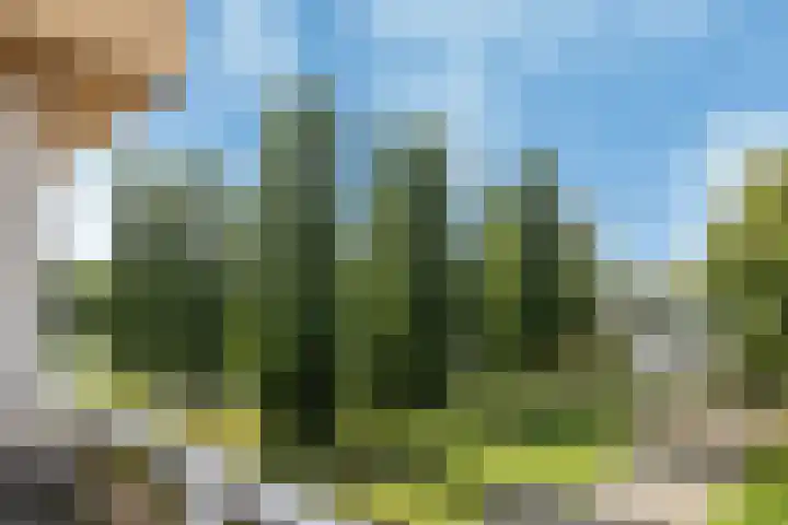 Willem Pijperlaan 39 Hoofddorp thumbnail 20