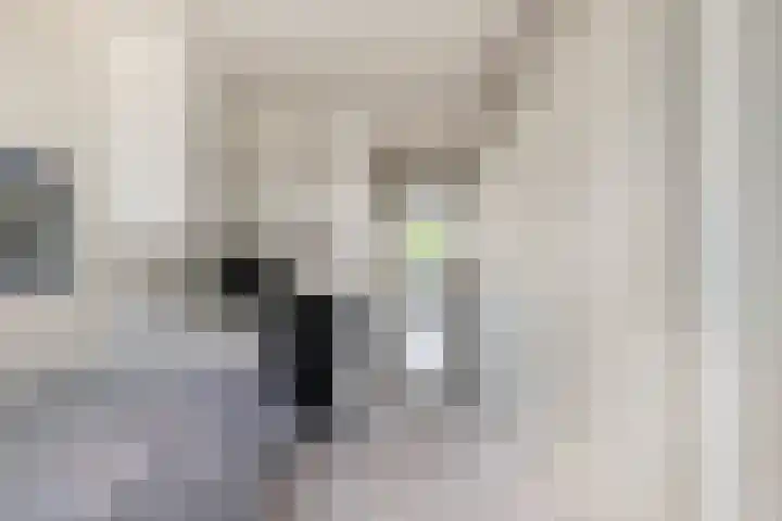 Willem Pijperlaan 39 Hoofddorp thumbnail 27