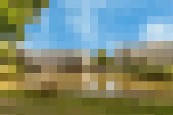 Willem Pijperlaan 39 Hoofddorp thumbnail 32