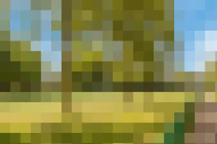Willem Pijperlaan 39 Hoofddorp thumbnail 33