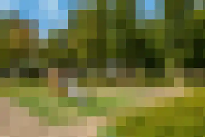 Willem Pijperlaan 39 Hoofddorp thumbnail 34