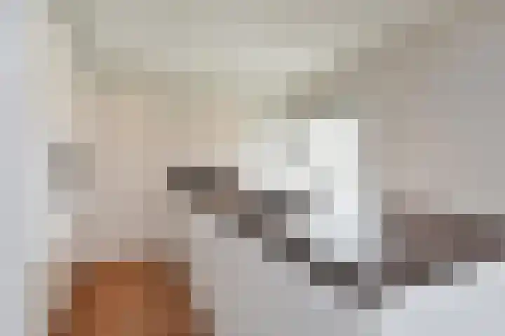 Willem Pijperlaan 44 Leidschendam thumbnail 15