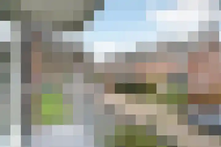 Willem Pijperlaan 44 Leidschendam thumbnail 23