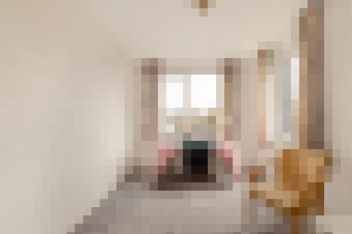 Willem Pijperlaan 55 Hoofddorp thumbnail 18
