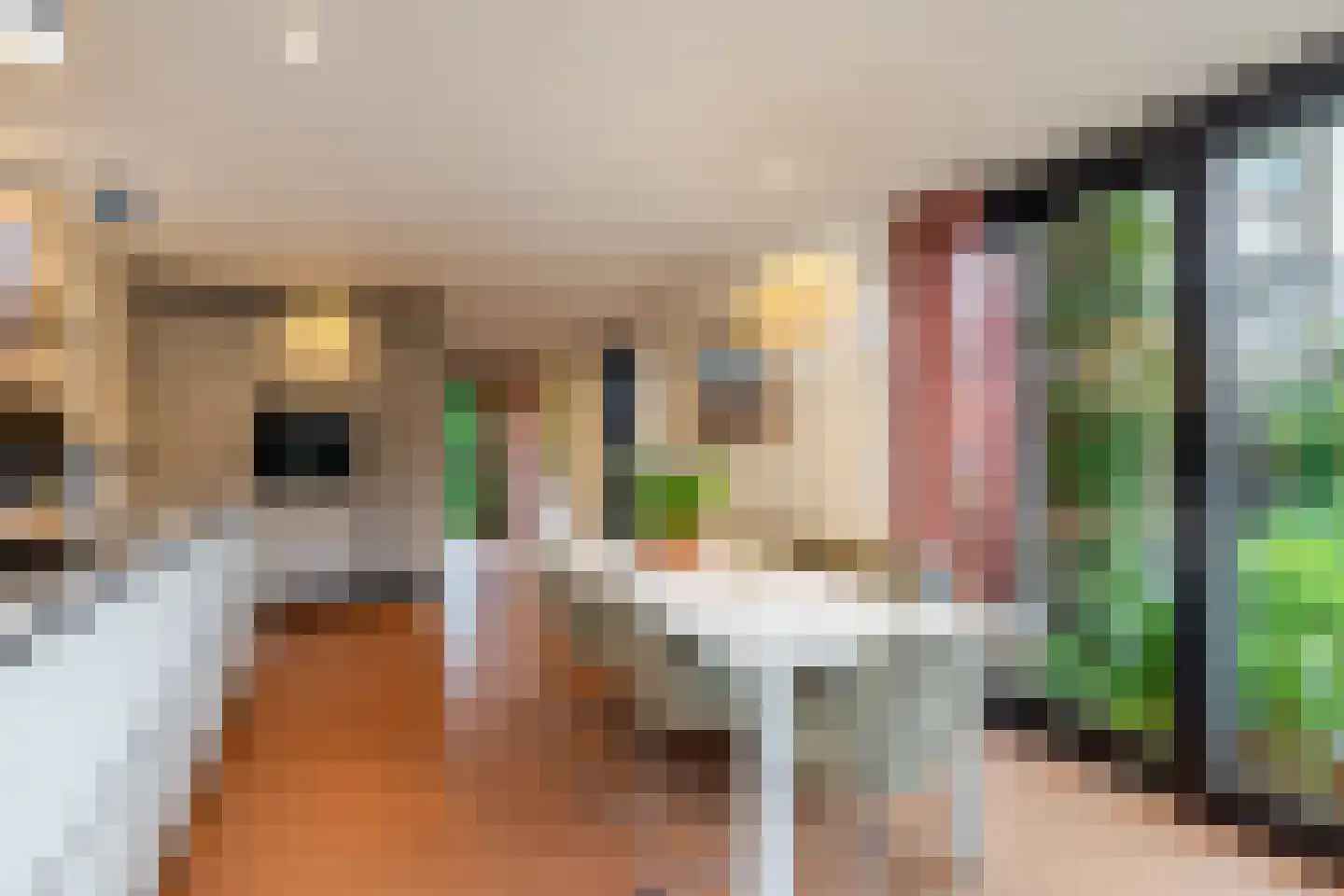 Willem Pijperlaan 62 Rotterdam thumbnail 19