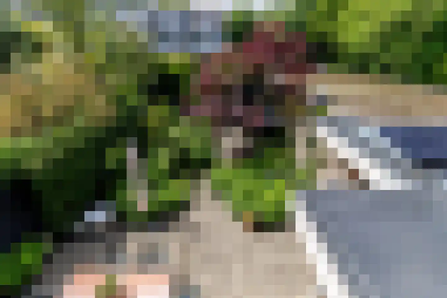 Willem Pijperlaan 62 Rotterdam thumbnail 35